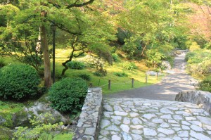 Pathway