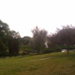 Magic Garden